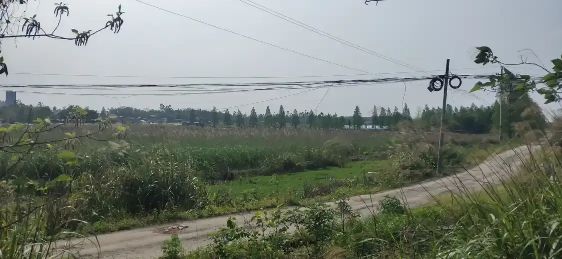 야메이지아 습지공원 주변 호텔