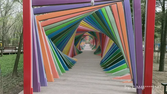 Boxing County Dayuzhang Forest Park