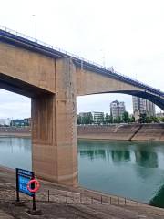 Gezhouba Sanjiang Bridge