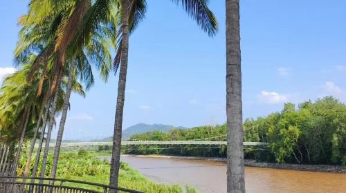 中國科學院西雙版納熱帶植物園-藤本園站