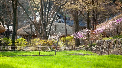 Korean Folk Village