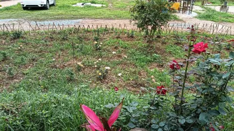 安仔农庄 in เฟิงไค