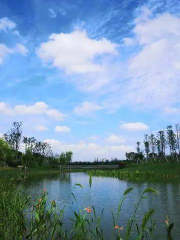 北興塘河濕地公園