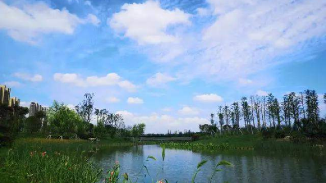 Beixing Tanghe Wetland Park