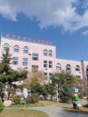 Yanjishi Shaonian Children Library