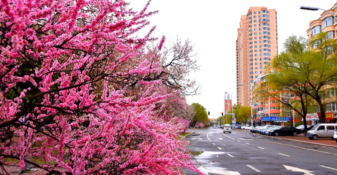 Xinglin Road