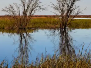 Lake Ilo National Wildlife Refuge