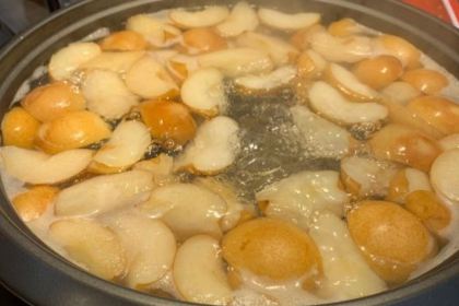 李广记杏皮茶