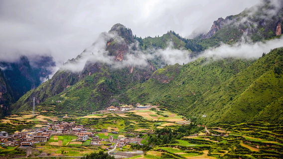 Diebu