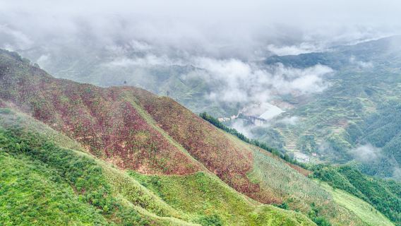 Gutianshan National Nature Reserve