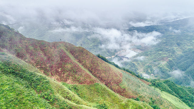 Gutianshan National Nature Reserve