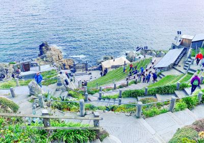 The Minack Theatre