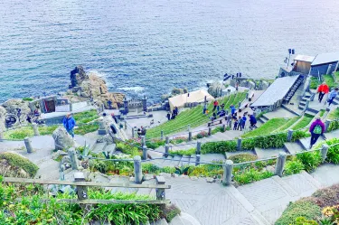 Minack Theatre