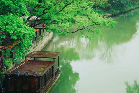 매화주(메이화저우)