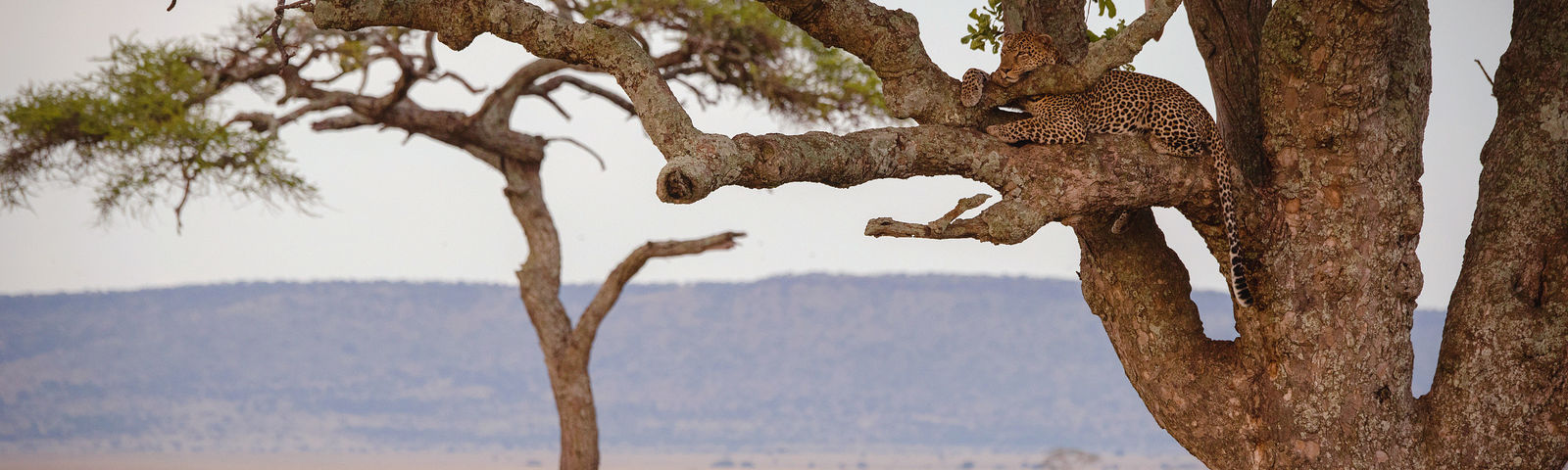 SeroneraTur Satu Hari