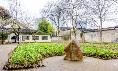 Baicao Garden