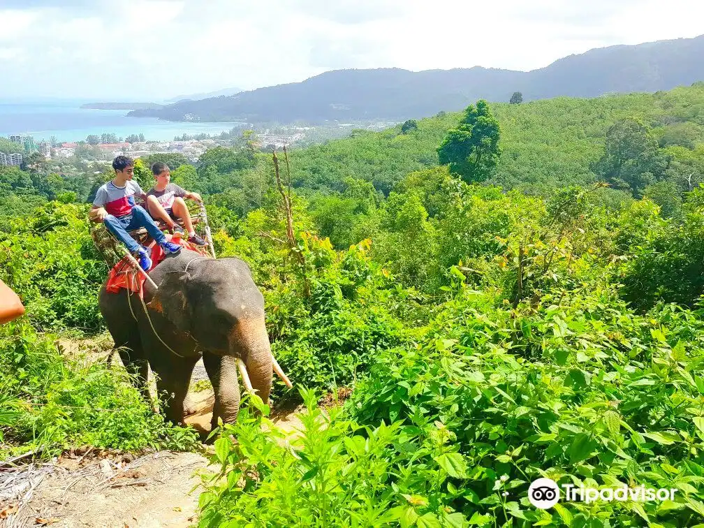 Hotels near Pang Chang Kamala Phuket Thailand