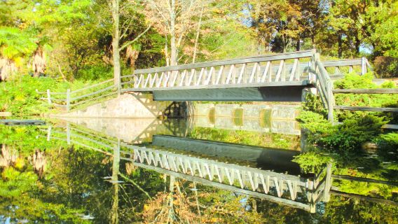Pullen Park