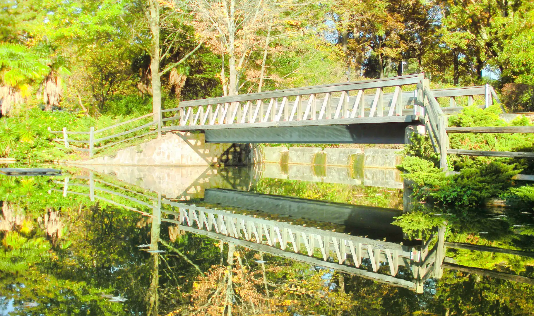 Hotels near Pullen Park