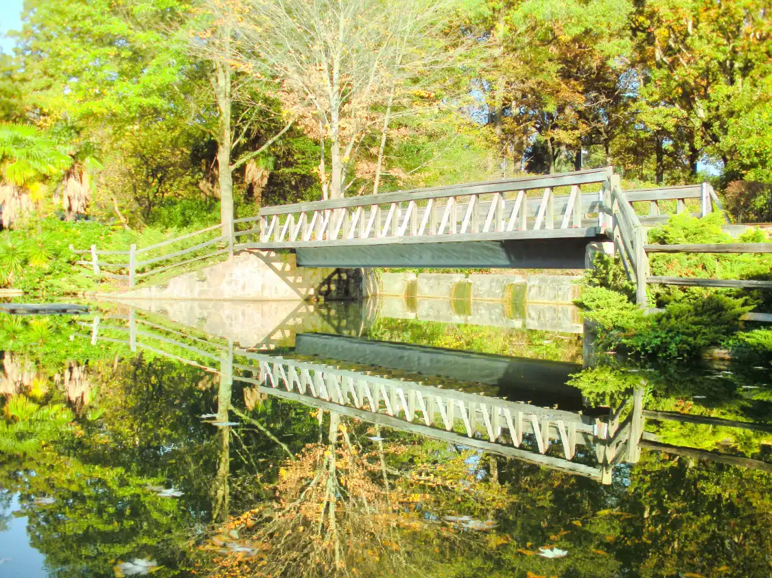 Hotels near Pullen Park