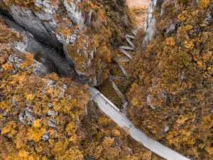 Top 20 Fall Viewing Attractions in Enshi Prefecture