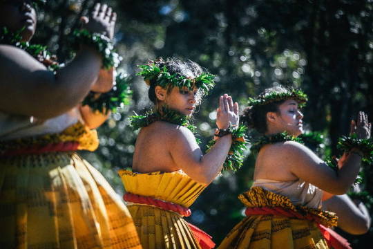 Hula Arts at Kīlauea | Volcano