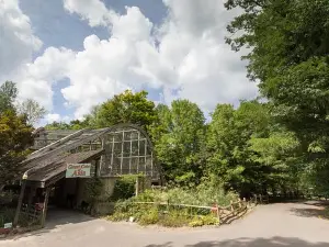 Ross Park Zoo