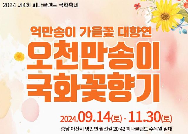 2024 피나클랜드 가을 국화＆불꽃축제 | 아산시