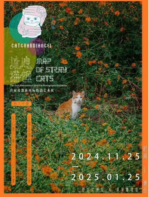 首屆流浪貓《流浪貓途》國際攝影藝術展 | 廣仁寺