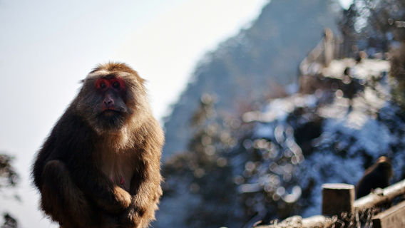Экологический Водопад В Городе