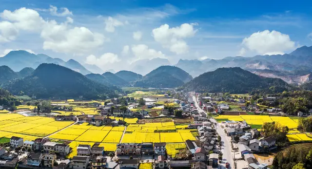 Enjoying Rapeseed Flowers in Sichuan