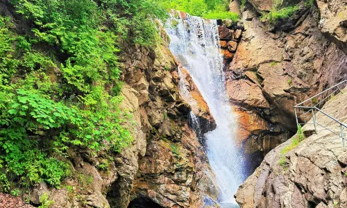 Yulongxi Primeval Forest Park