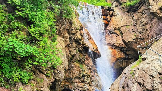 Yulongxi Primeval Forest Park