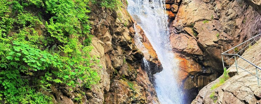 Yulongxi Primeval Forest Park