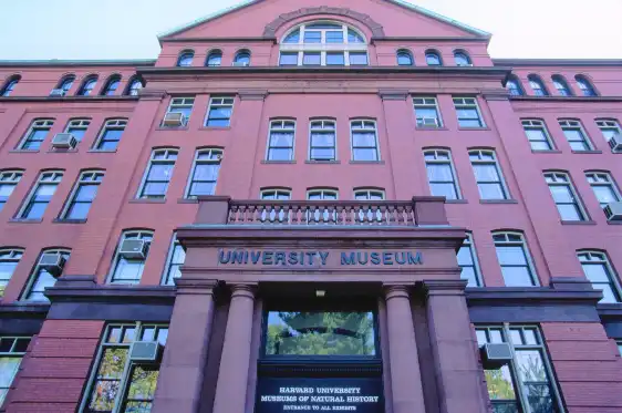 ハーバード大学自然史博物館周辺のホテル