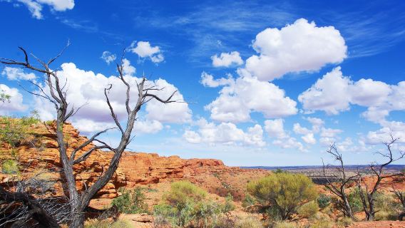Kings Canyon Carpark