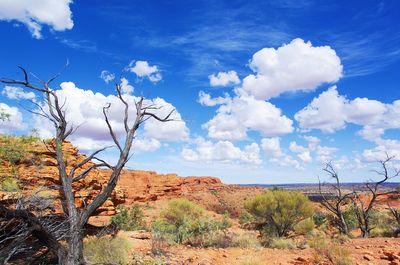 Kings Canyon Carpark