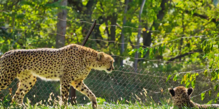 亨利多利動物園和水族館