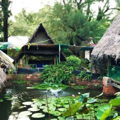 Mor Mu Dong Restaurant User Photo