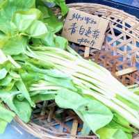 ［香港人食香港菜］