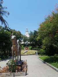 Hilltop temple in downtown Phnom Penh 