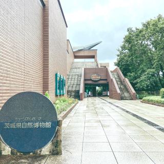 【이바라키】 뮤지엄 파크 자연 박물관