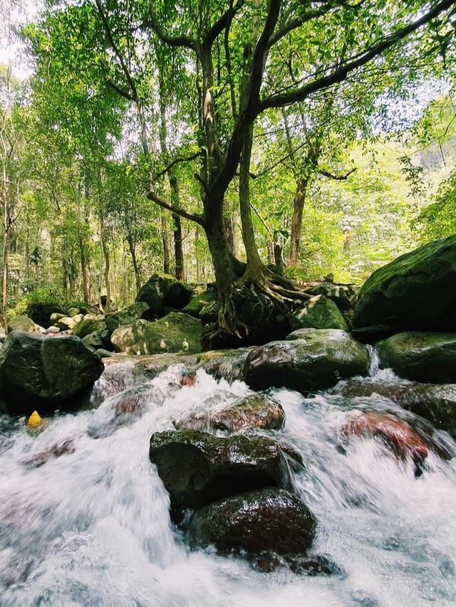 Nature hike and summits