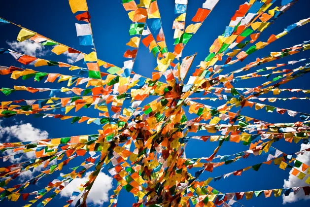 Для бизнес-поездок Отели в г. Данхюн