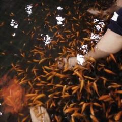 樂山溫泉拉麵(公園店) User Photo