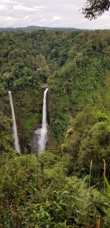 Bolaven Plateau
