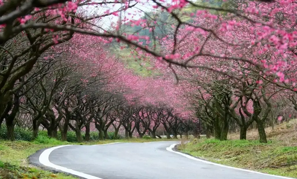 창싱 고대 삼림 박물관 주변 호텔