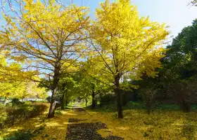 Xinglong Park