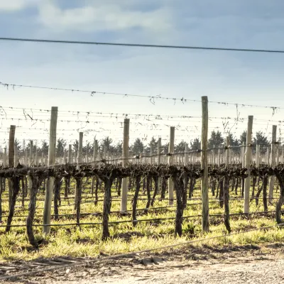 Отзывы об отеле Best Western Poitiers Centre le Grand Hotel