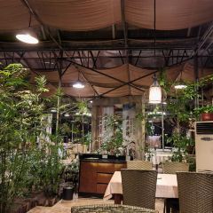 欧景生态苑(石家庄机场店) User Photo